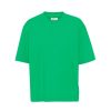 Vaatteet Colorful Standard | Oversized Organic T-Shirt, Kelly Green